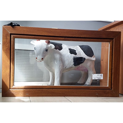 LIWDAR finestre in PVC finestre alla stalla finestre per la casa dei maiali finestre alla stalla zanzariere produttore polacco